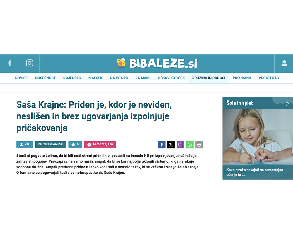 sasa press 0015 picture 3